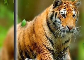 Тигр на экран телефона