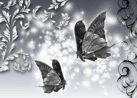 Черно белые бабочки